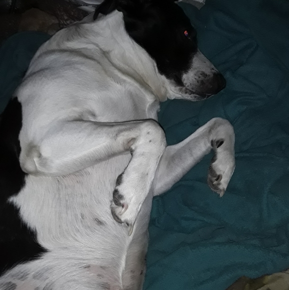 Meet your Posher, Hollaaaaa Hollaaaaa🤙🤙 I'm Tampa - Picture 4 of 16